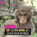 소풍키친 - 36289 | 소풍키친