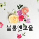 메이의보울 이미지