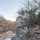 올챙이캠핑장 이미지