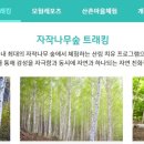 산촌캠프펜션 이미지