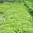 교도소 앞 이미지