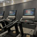 바이칼휘트니스 이미지