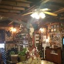 산속비버스 이미지