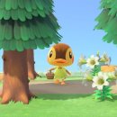 용호 소프트 | #34 그냥 일상