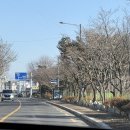 자인공설시장(동부리) | 🐷 경산 자인시장 &amp; 하양 꿈바우시장 방문 후기