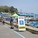 대진항(문어축제장) 이미지