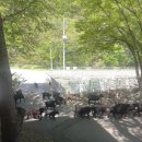 일송정 산장 이미지