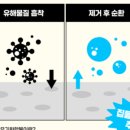 프레쉬홈