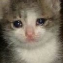 혜영이네 이미지