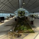 드위트리 풀빌라펜션 & 카라반가든 | [강원도 정선군] 드위트리 풀빌라펜션&amp;카라반가든