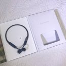 액티브라이프(ActiveLife) | [골전도이어폰][aftershock][에프터샥] [에어로펙스] 골전도 이어폰 에프터샥 에어로펙스 후기