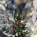 삼성행복의원 이미지