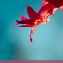 윈스크린 이미지