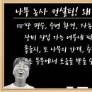 나무컨설팅 이미지