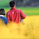 관식이 농장 이미지