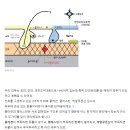 에스테라뷰티 이미지