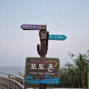 동해시-42 | 1박2일 동해 출장: 동해휴게소 뷰 맛집&amp; 삼척항 활어회센터 &#34;18호 순양수산&#34; 모둠회 포장 후기