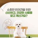 에코세븐 이미지