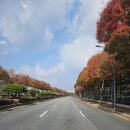 11월11일 화요일 충방 출석부 이미지