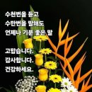 1017 Daum카페