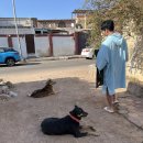 영광기사식당 | [이집트 신혼여행] 다합 라이트하우스 프리다이빙 후기 365일 다이빙 가능한 바다