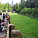 인천목장 이미지