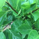 주식회사에치와이 이미지