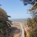 GS25안산장수점 | 무의도 구석구석 트레일런대회 25km 코스 사전 답사 후기