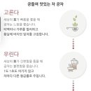 공차경기대