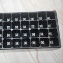 홈가드닝 이미지