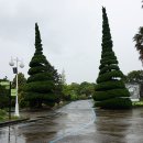 부국개발주식회사 여미지식물원 이미지