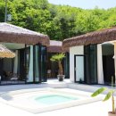 코스타리몬 이미지