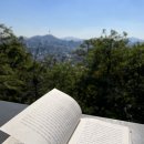 더 숲Ⅰ 이미지