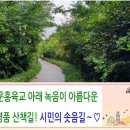 시민의 솟음길 이미지