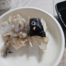 밀레니엄여행