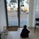 수평선미술교습소