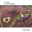 신소양체육공원1 | 경남 합천 :: ‘신소양체육공원’ 핑크뮬리(1부 드론풍경) 【25년10월10일】