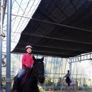 대암목장 이미지