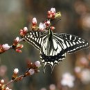 샤론의원 이미지