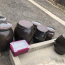 차항1리경로당 이미지