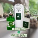 천연 잣나무 숲 피톤치드 손 소독제 , 탈취제 100% 친환경 에어 포리스트