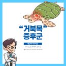 왜관마디척의원 네이버블로그
