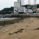 모래밭 민박 이미지