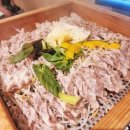 대보탕 | 발산역 맛집 모두의편백샤브 발산직영점 또간집 후기 주차가능 유아의자 있음