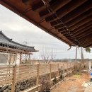 GR(영암군)-[왕인로]-하-4 | [소소한 일상기록] 겨울 음식 버킷리스트 달성!!