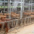 도비축산 이미지