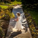 구둣방꼬마요정 이미지