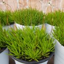 발산역7번출구 이미지