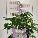 법무사이용우 이미지