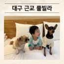 인동36길-2 | 대구 근교 애견동반 풀빌라 아기랑 다녀온 후기